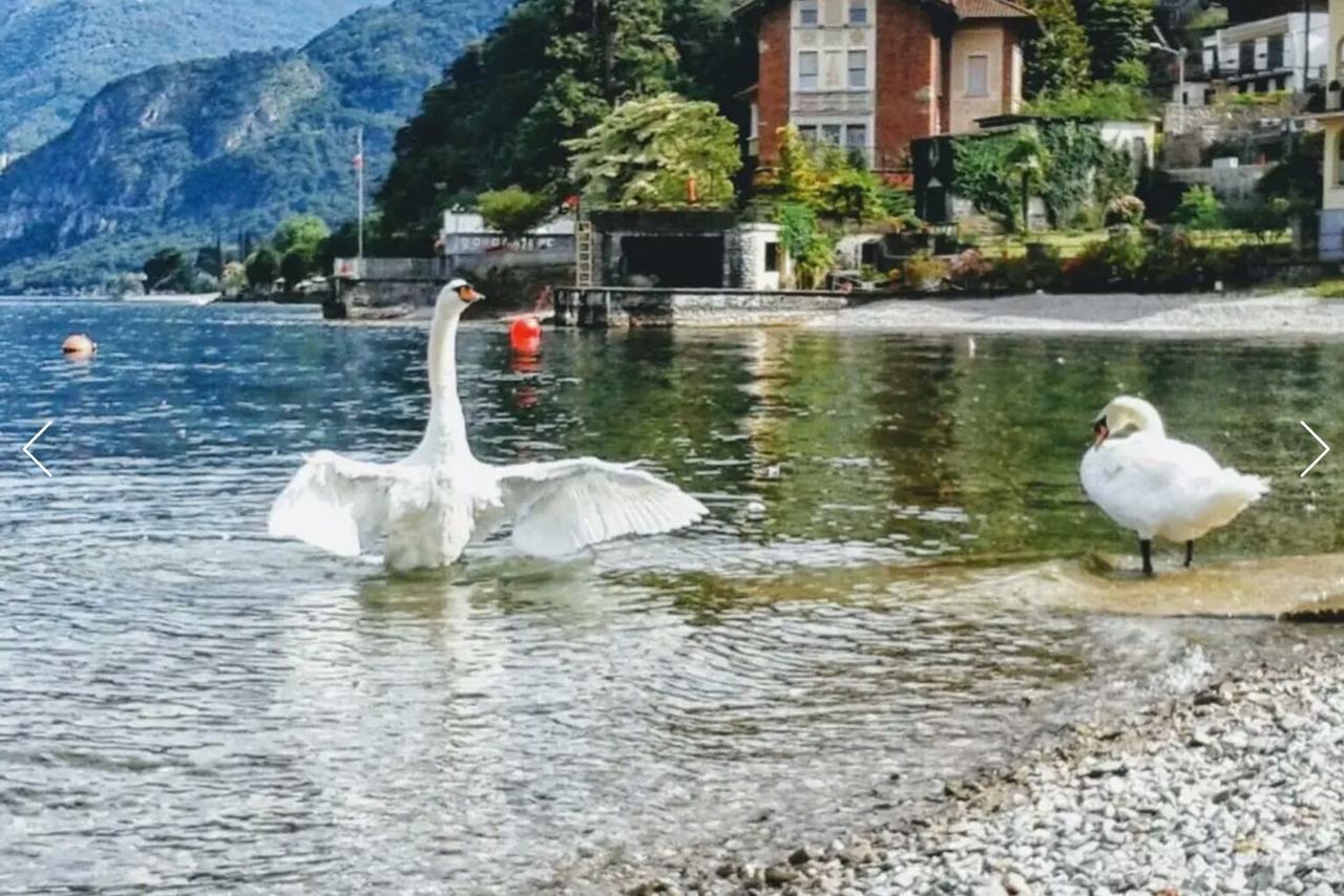Le Grigne Guest House Oliveto Lario Екстериор снимка