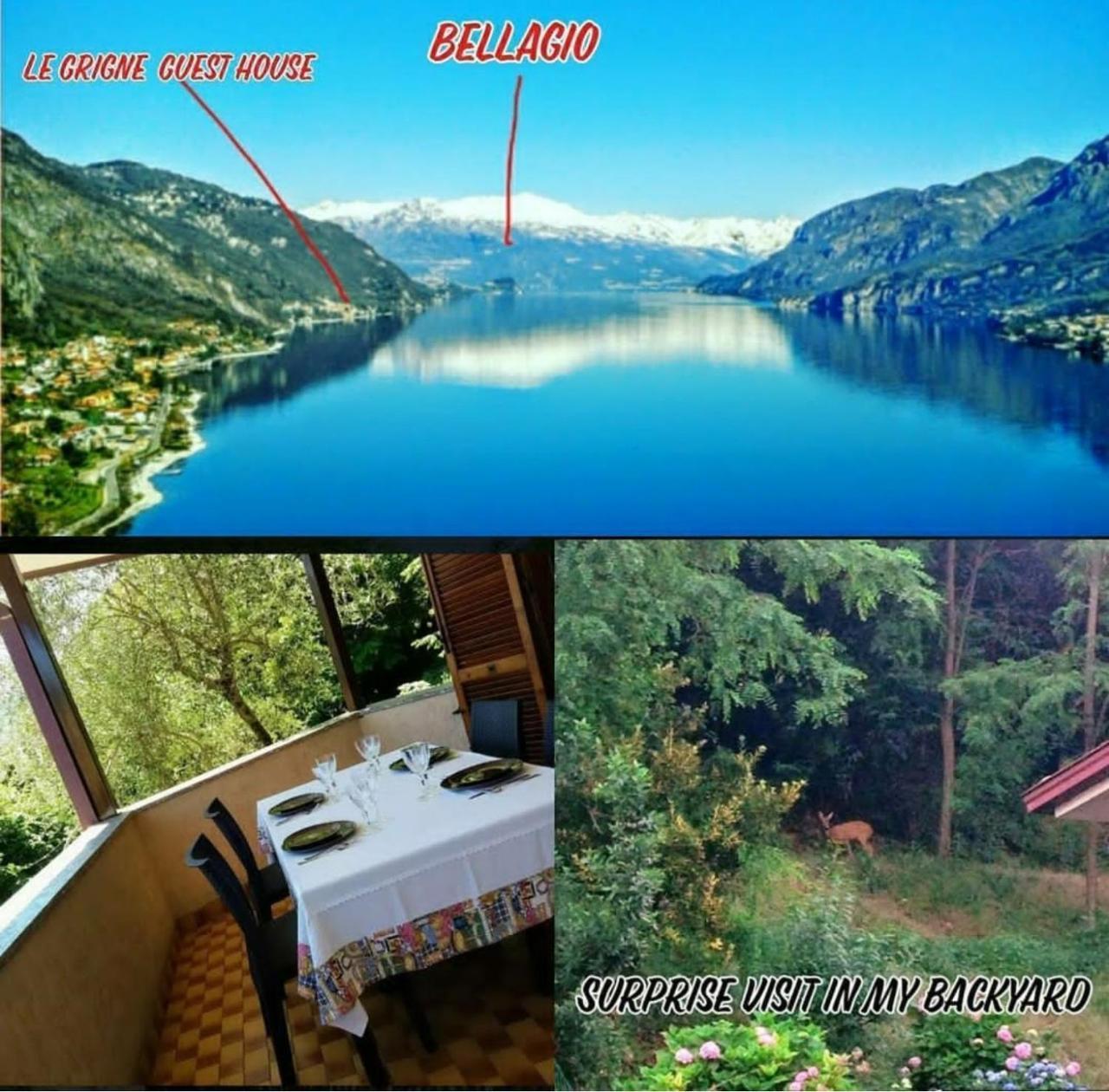 Le Grigne Guest House Oliveto Lario Екстериор снимка