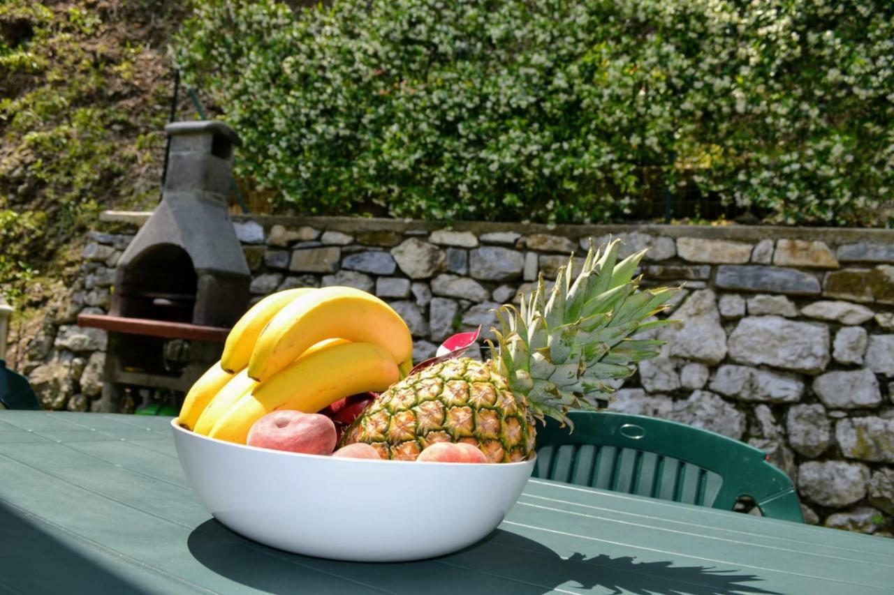 Le Grigne Guest House Oliveto Lario Екстериор снимка
